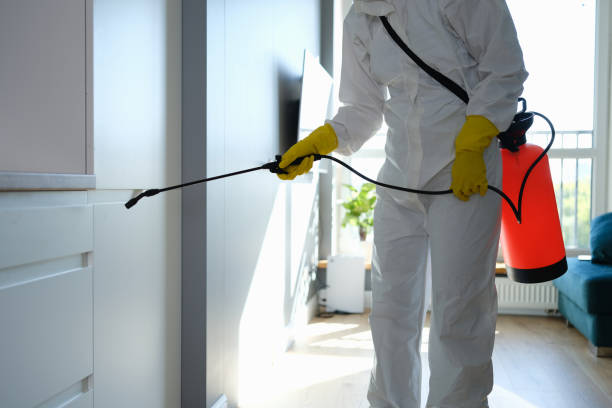 Best Bathroom Mold Remediation in Christiansburg, VA