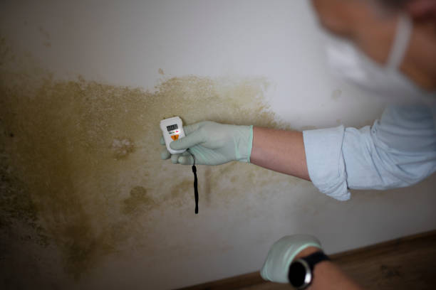 Christiansburg, VA Mold Remediation Company