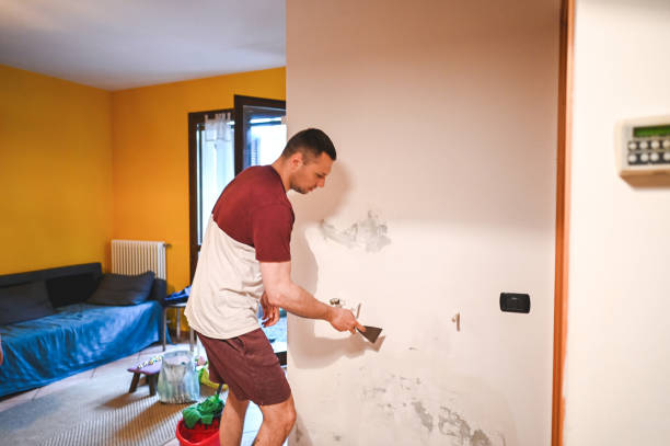 Best Post-Flood Mold Remediation in Christiansburg, VA